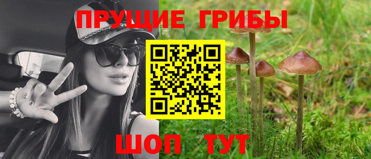 Псилоцибиновые грибы ЛСД Строитель