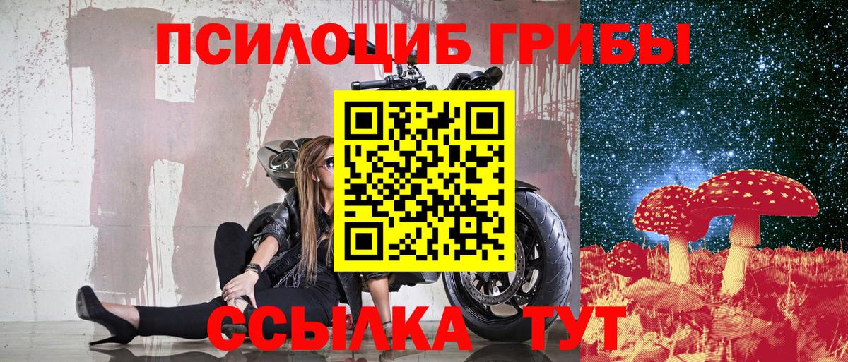 сколько стоит  Галлюциногенные грибы GOLDEN TEACHER  Вход с VPN  Строитель 